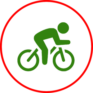 Road Bike Icon